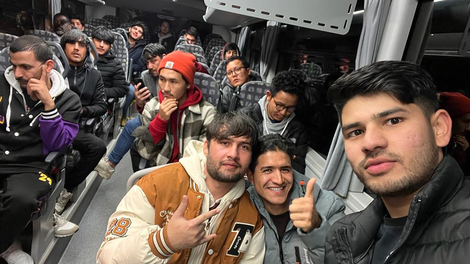 Festisol