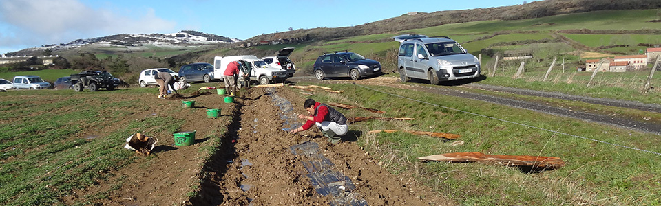 autrac-960x300-03.jpg