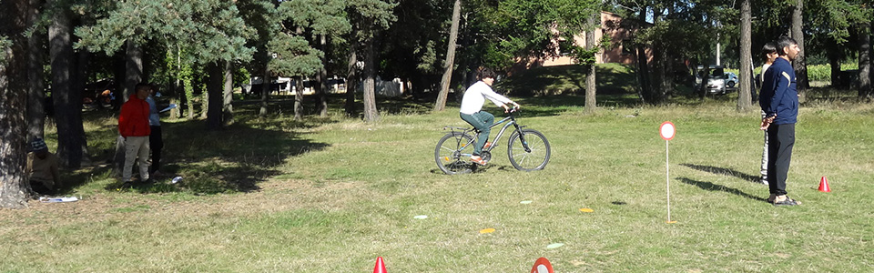 animvelo-06-pano.jpg