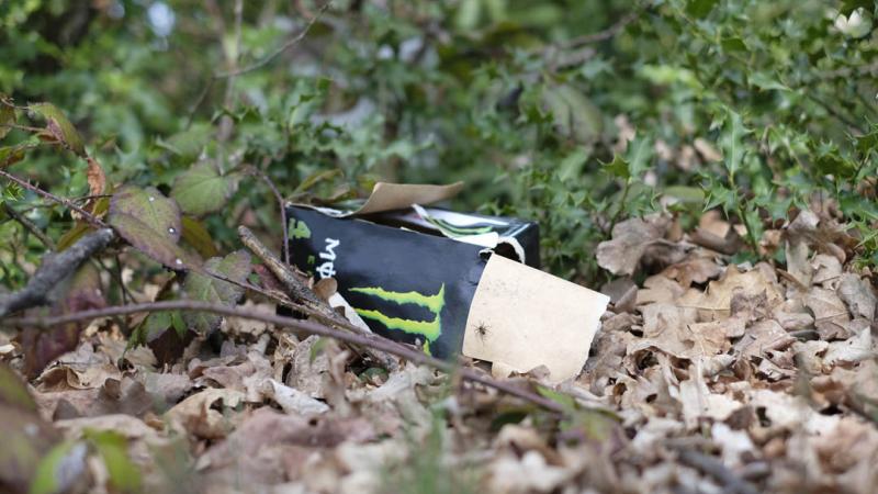 Art et déchets