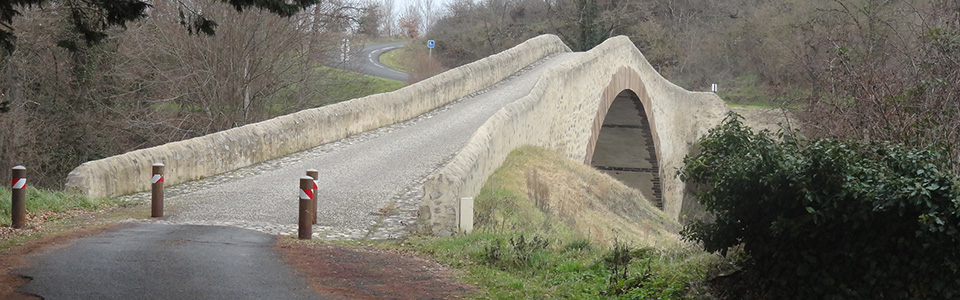 Randonnée pédestre